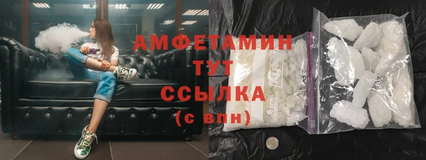 прущие грибы Дмитровск