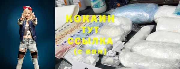 стафф Дмитров