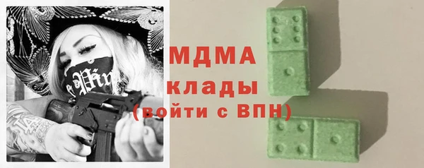 прущие грибы Дмитровск