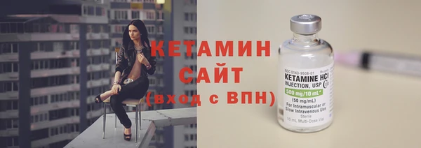 прущие грибы Дмитровск