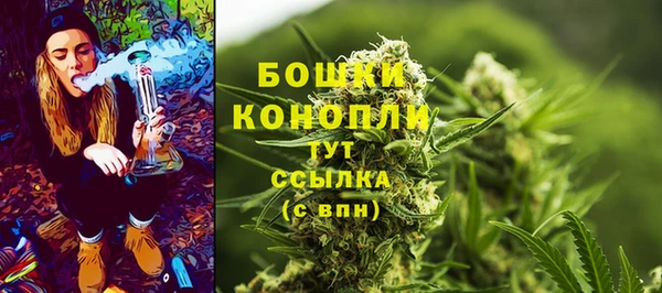 СК Дмитриев
