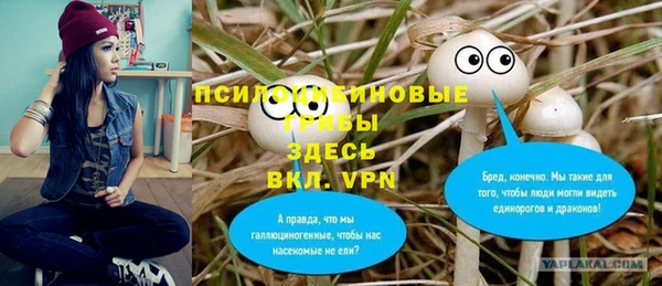 стафф Дмитров