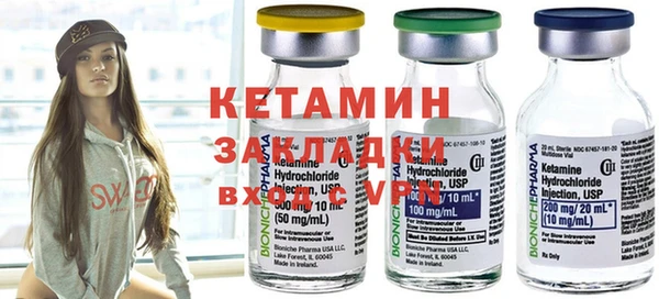 прущие грибы Дмитровск