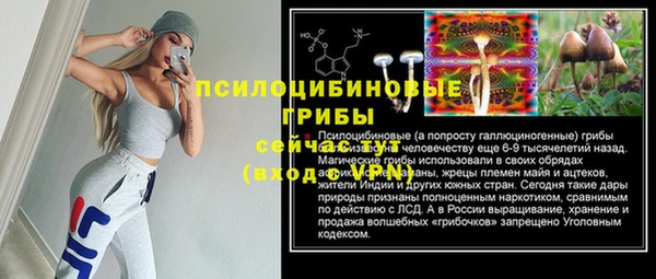 прущие грибы Дмитровск