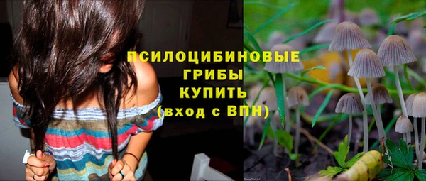 СК Дмитриев