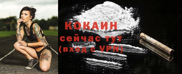 прущие грибы Дмитровск