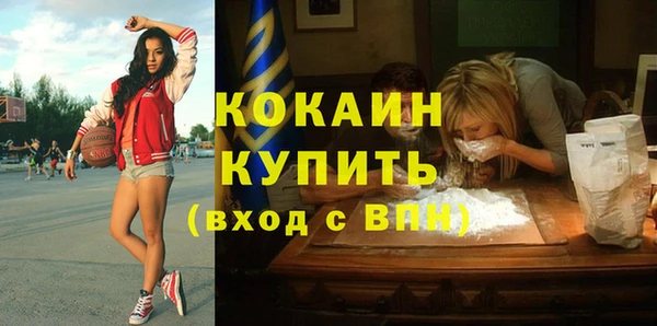 стафф Дмитров