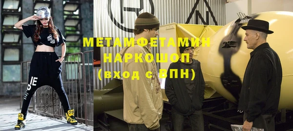 прущие грибы Дмитровск