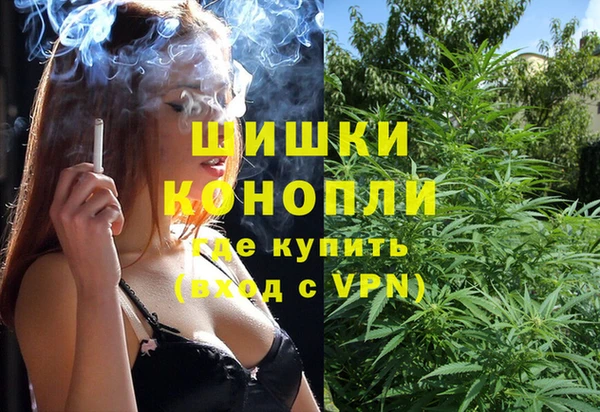 стафф Дмитров